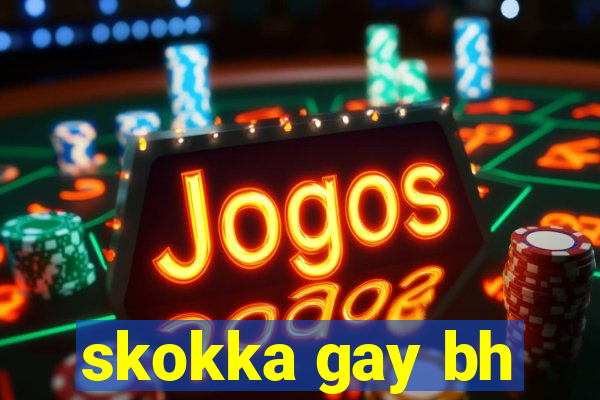 skokka gay bh